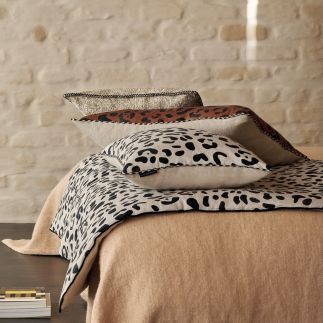 Leo, Ivory, Eudo,Casamance