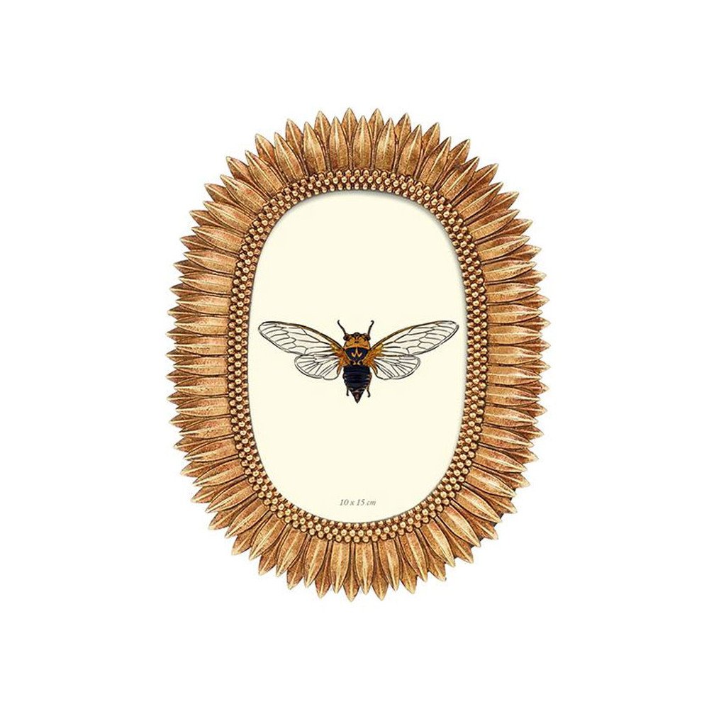 Cadre Soleil Doré 10cm x 15cm, sélectionné par Hippotigre Cadre Soleil Doré 10cm x 15cm, sélectionné par Hippotigre