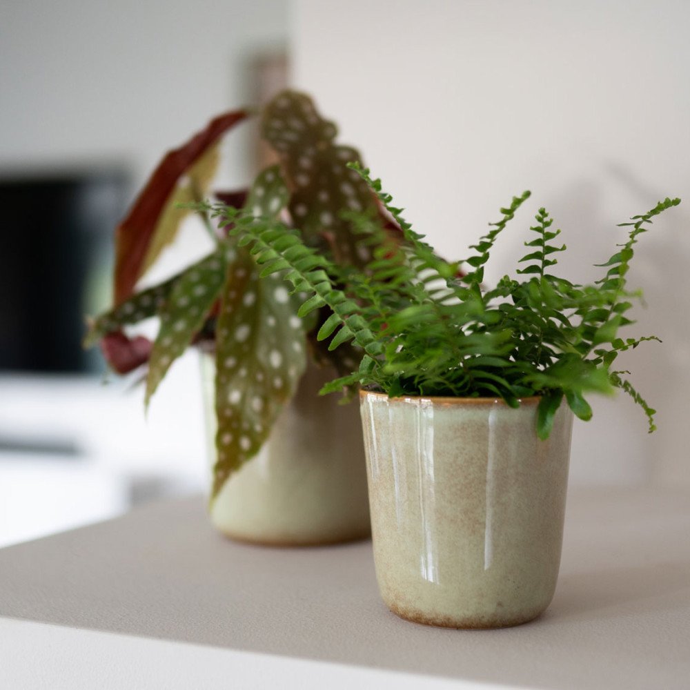 Hedi, Cache-Pot 13cm, Ter Steege Hedi, Cache-Pot 13cm, Ter Steege