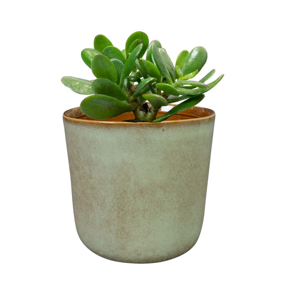 Hedi, Cache-Pot 13cm, Ter Steege Hedi, Cache-Pot 13cm, Ter Steege