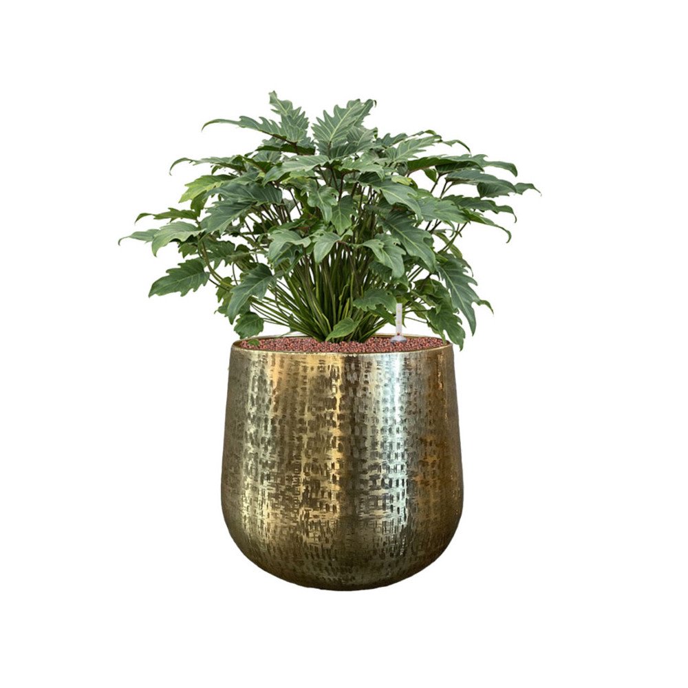 Karakter 13 cm, Cache-pot, Sélectionné par Hippotigre Karakter 13 cm, Cache-pot, Sélectionné par Hippotigre