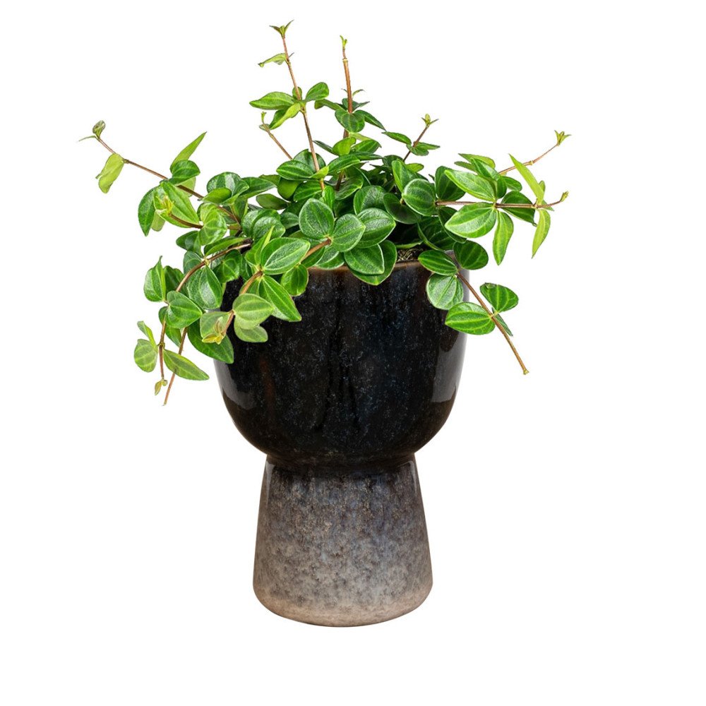 Amelie Night Blue 11 cm, Cache-pot, Sélectionné par Hippotigre Amelie Night Blue 11 cm, Cache-pot, Sélectionné par Hippotigre