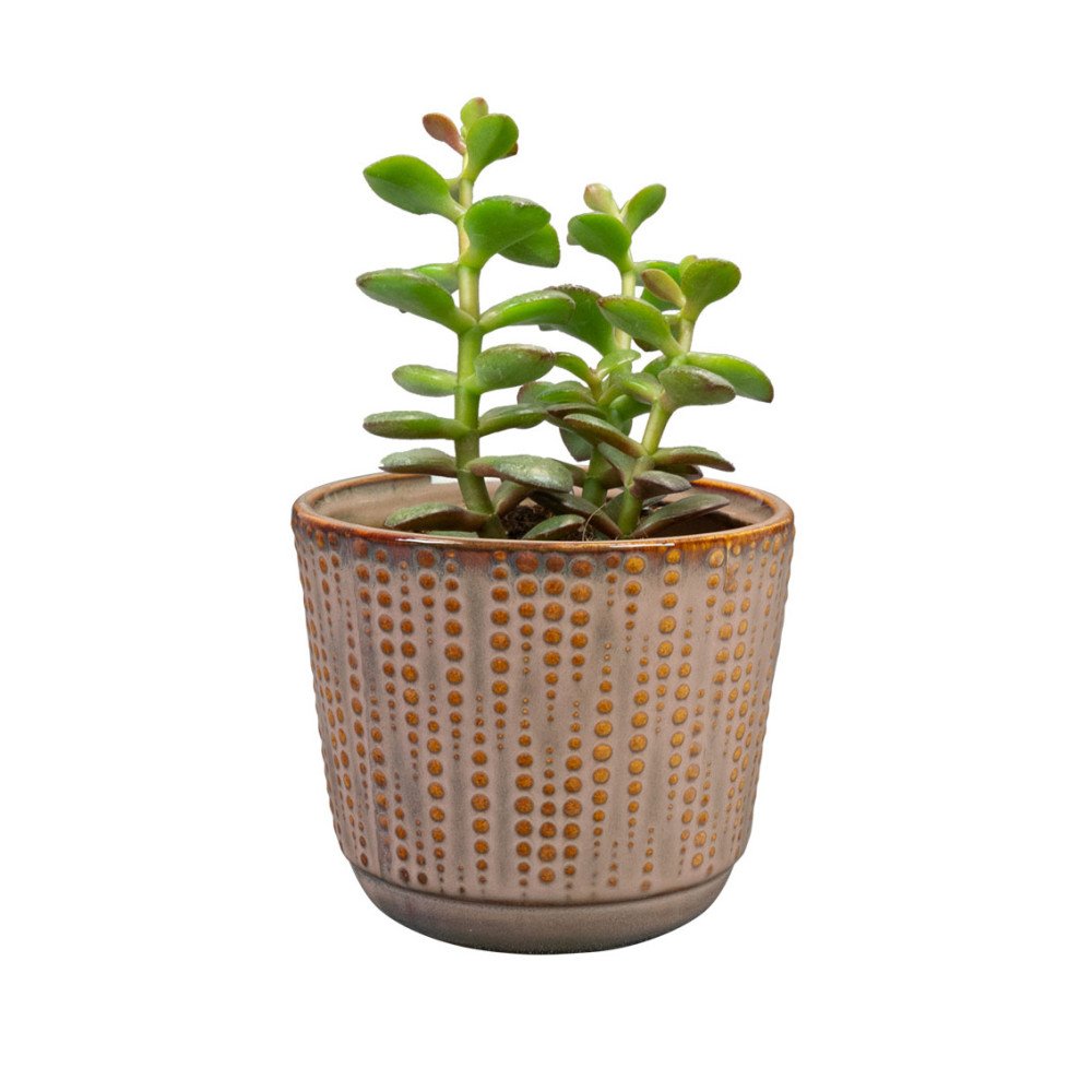 Cille Old Pink 11cm, Cache-pot, Sélectionné par Hippotigre Cille Old Pink 11cm, Cache-pot, Sélectionné par Hippotigre