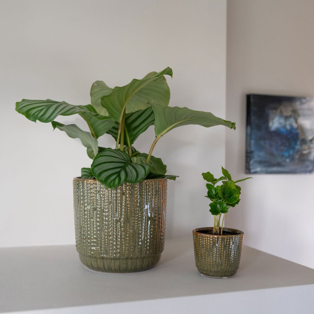 copy ofcopy ofcopy ofcopy ofcopy ofcopy ofcopy ofcopy ofcopy ofcopy ofcopy ofcopy ofcopy ofEva, Cache-