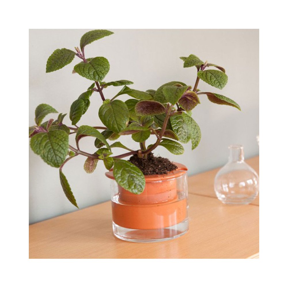 Wetpot Taille M, 19cm, Cache-pot à réserve d'eau, WetPot Systems Wetpot Taille M, 19cm, Cache-pot à réserve d'eau, WetPot Systems