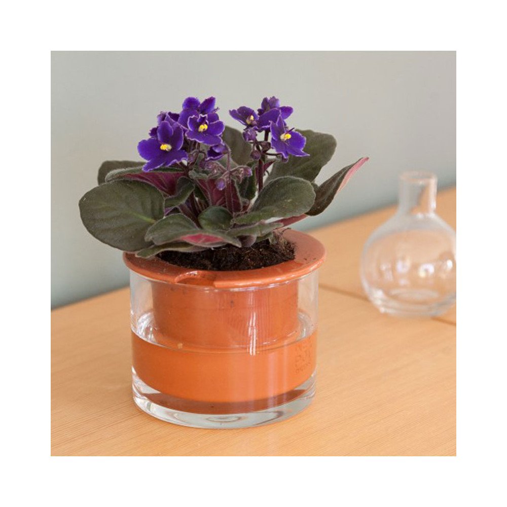 Wet Pot Taille S, 15cm, Cache-pot à réserve d'eau, Wet Pot Systems Wet Pot Taille S, 15cm, Cache-pot à réserve d'eau, Wet Pot Systems