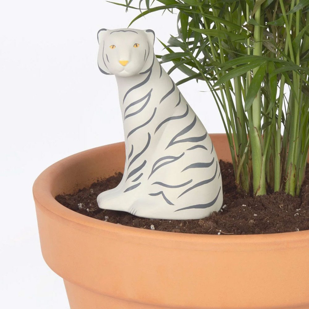 Jangal Tiger, Oya ou réserve d'eau pour plante, DOIY Jangal Tiger, Oya ou réserve d'eau pour plante, DOIY