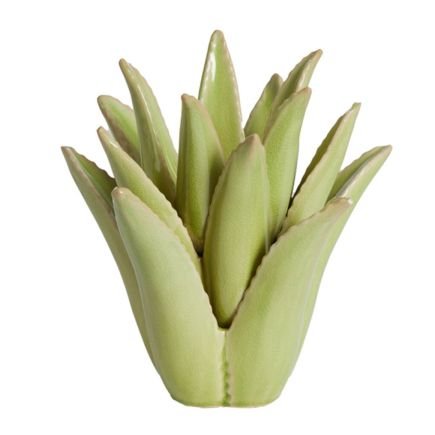 Aloë, Bougeoir Ø13 cm x 16 cm