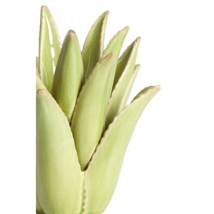 Aloë, Bougeoir Ø13 cm x 16 cm