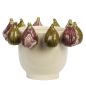 Figues, Cache-pot , Madam Stoltz