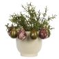 Cache-pot Figues, Madam Stoltz