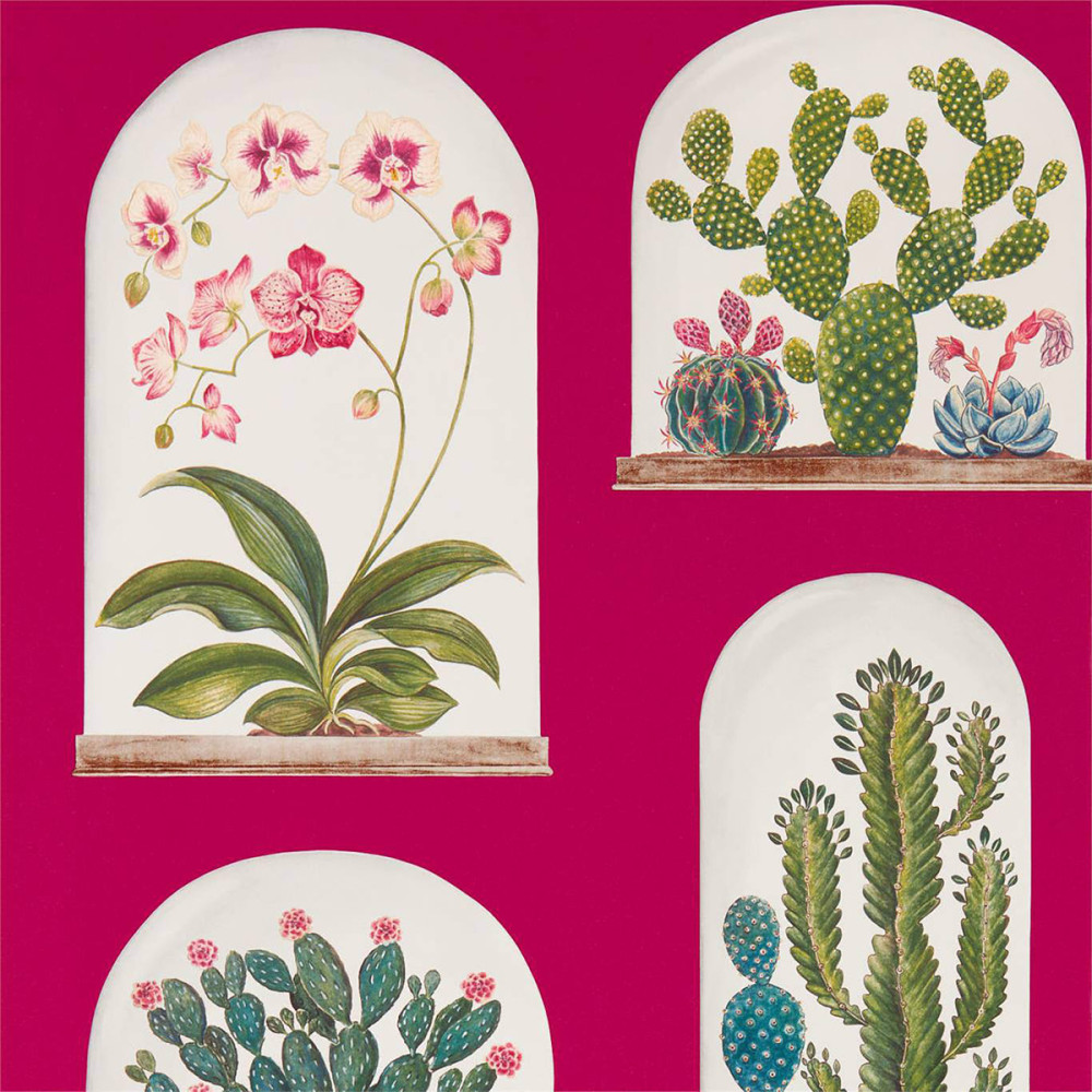 Terrariums, papier peint, Sanderson Terrariums, papier peint, Sanderson