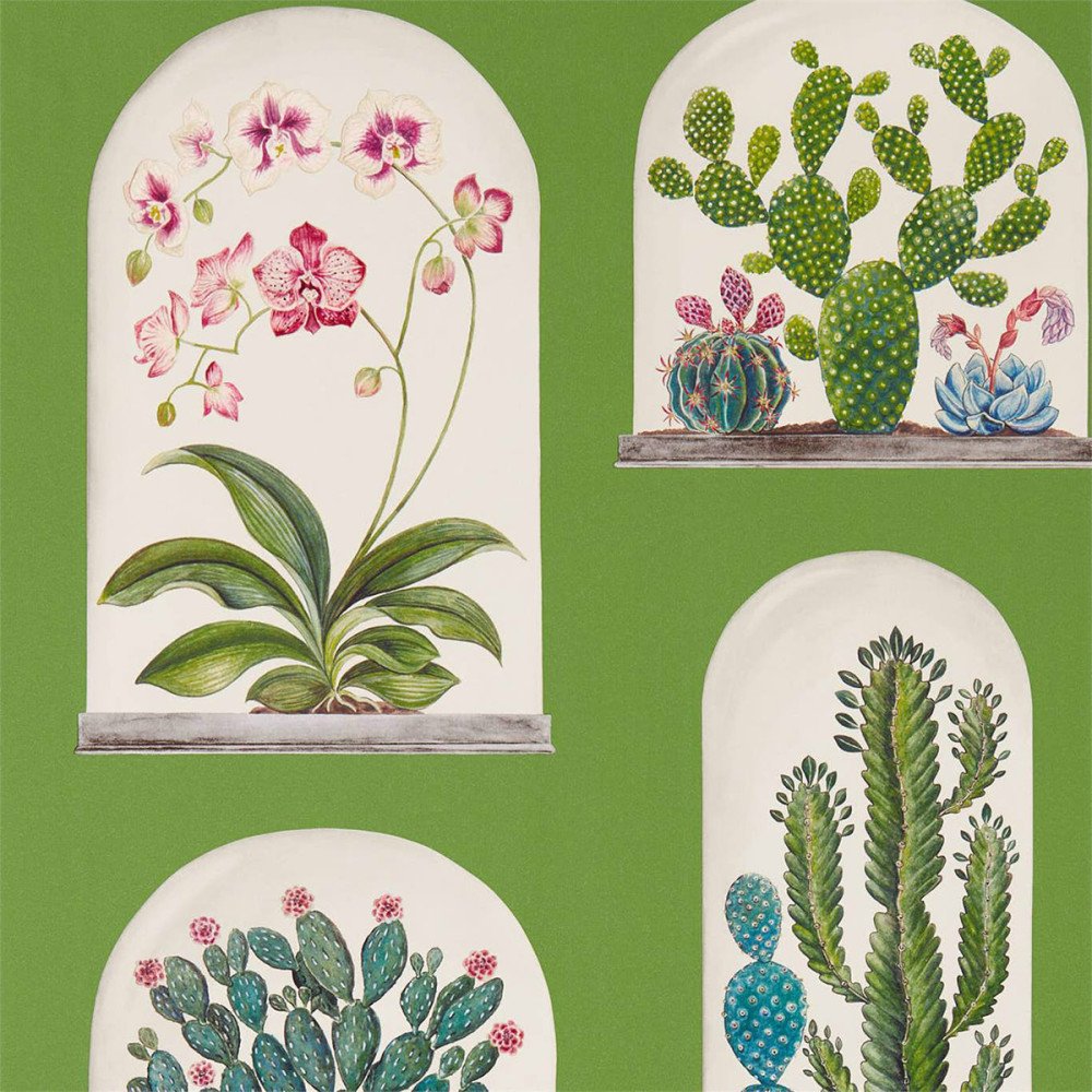 Terrariums, papier peint, Sanderson Terrariums, papier peint, Sanderson