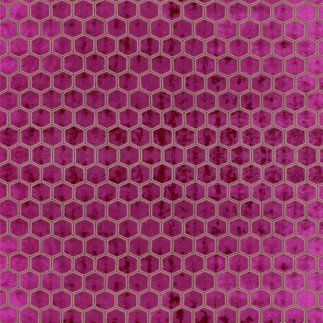 Manipur, Fabric Designers Guild