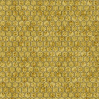Manipur, Fabric Designers Guild